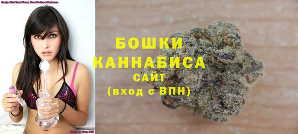 дживик Пересвет